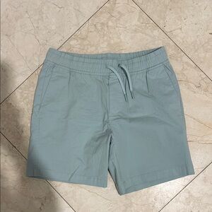 Calvin Klein Men's Light Green Flat Front Shorts